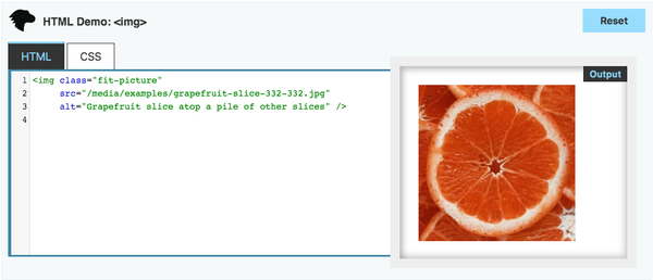 MDN Image Example: HTML source and resulting image of a grapefruit