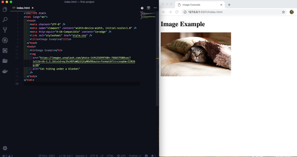 HTML on the left and image of cat under blanket on the right